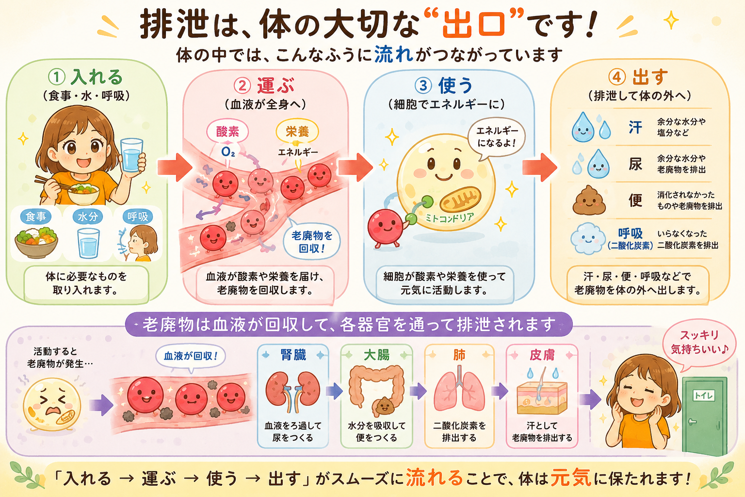 排泄は体の大切な出口です