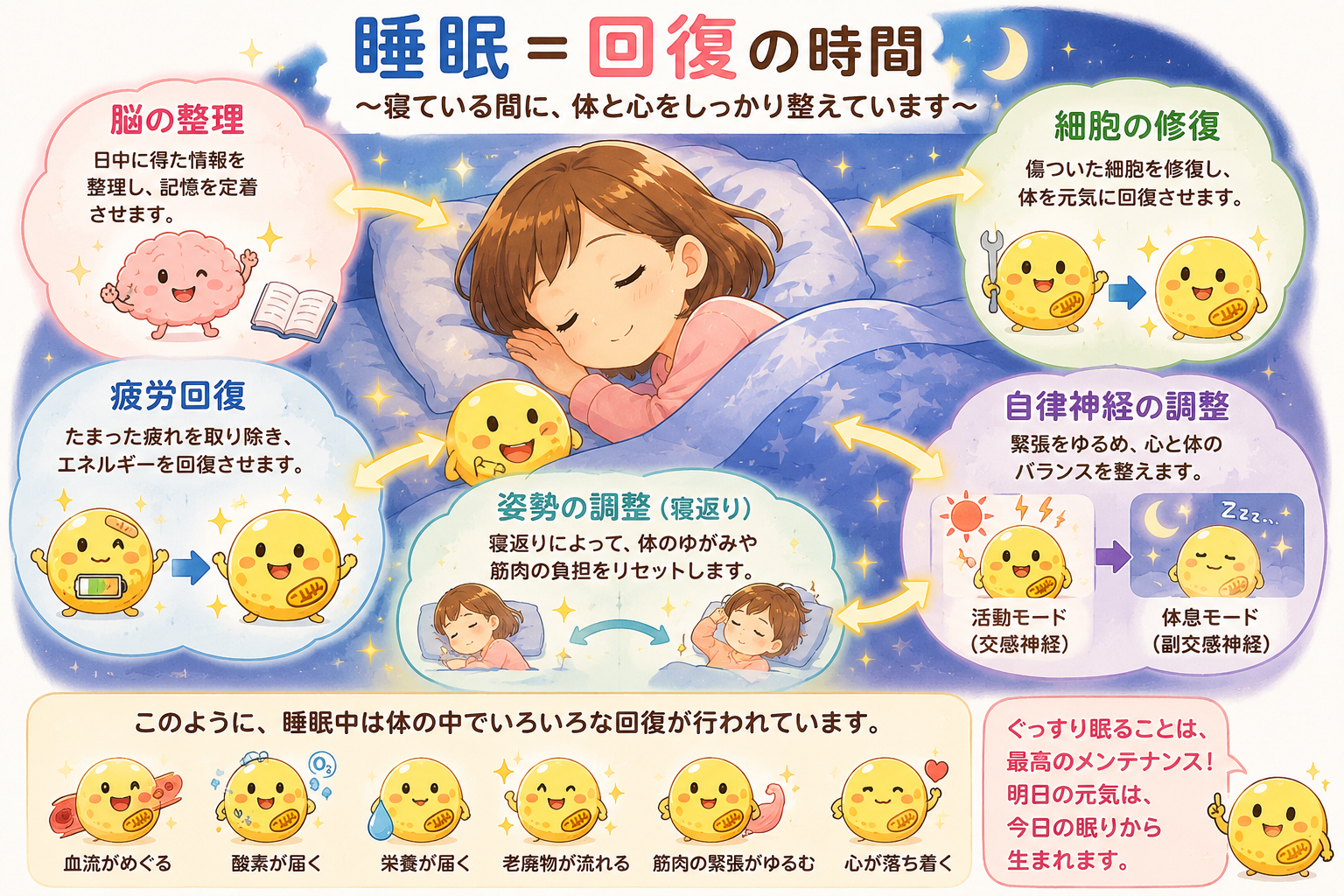 睡眠は回復の時間