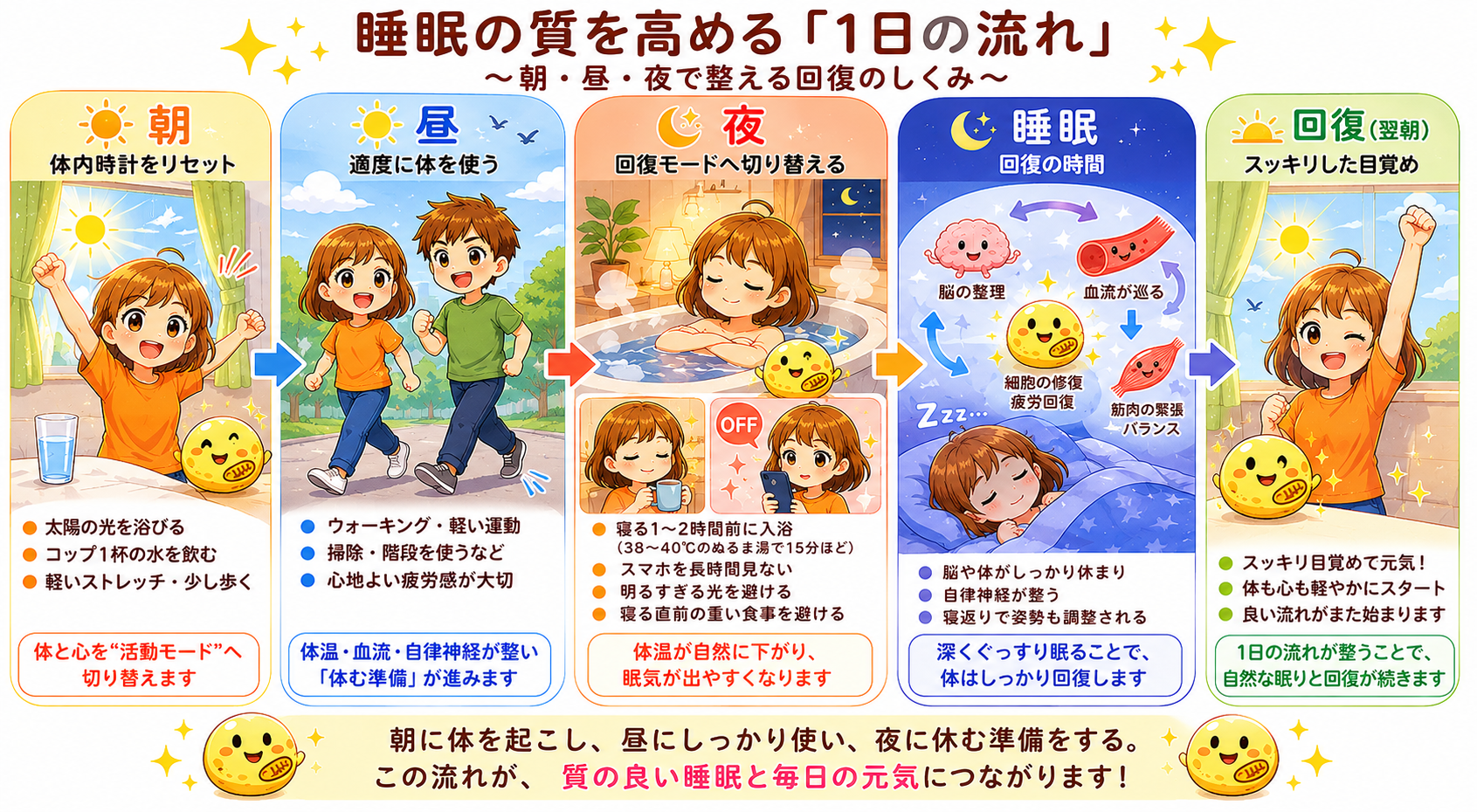 朝昼夜で整える睡眠の流れ