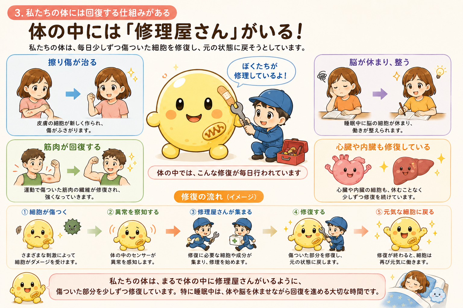 体の中には修理屋さんがいる